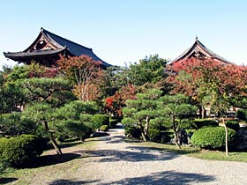 教王護国寺 教王護国寺